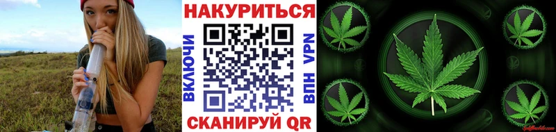 Конопля индика  Михайловка 